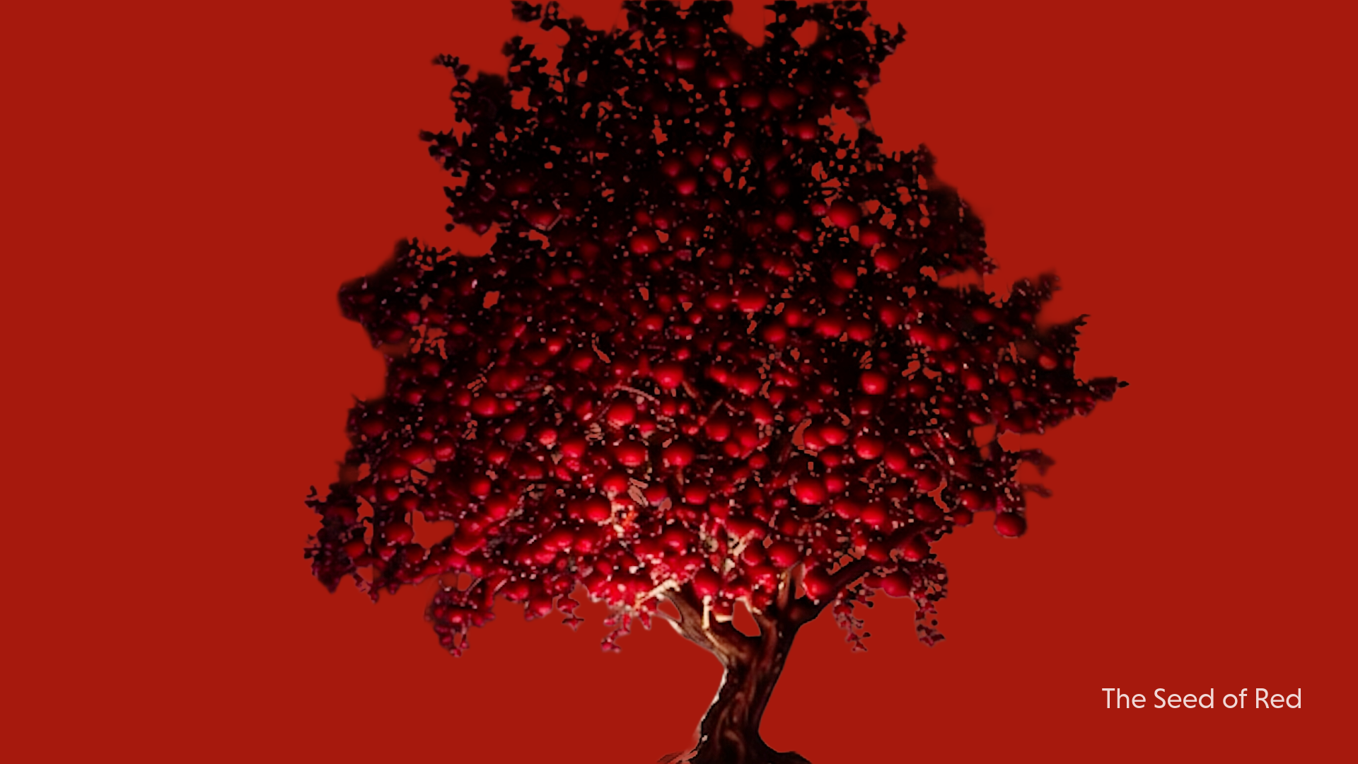 新作映像作品《The Seed of Red》のOGP画像。